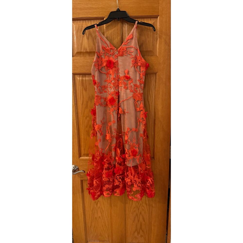 Elegant Dress the Population Audrey Embroidered Fit & Flare Dress - Picture 5 of 5